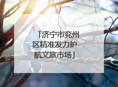 济宁市兖州区精准发力护航文旅市场