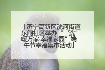 济宁高新区洸河街道东闸社区举办“‘洸’暖万家·幸福家园”端午节幸福集市活动