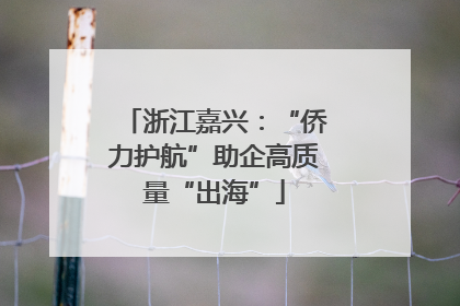 浙江嘉兴：“侨力护航”助企高质量“出海”