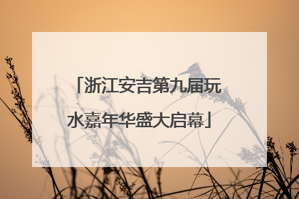 浙江安吉第九届玩水嘉年华盛大启幕