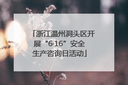 浙江温州洞头区开展“6·16”安全生产咨询日活动