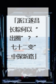 浙江遂昌长粽何以“出圈”？“七十二变”中探新路