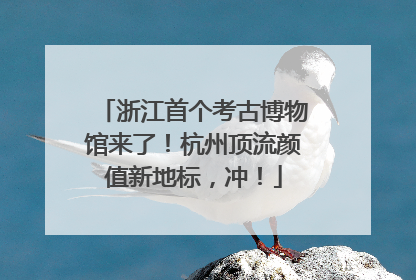 浙江首个考古博物馆来了！杭州顶流颜值新地标，冲！