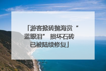 游客掀砖抛海赏“蓝眼泪” 损坏石砖已被陆续修复