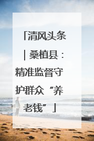 清风头条｜桑植县：精准监督守护群众“养老钱”