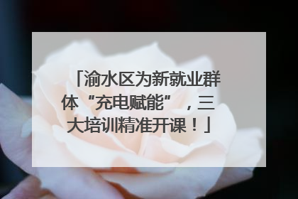 渝水区为新就业群体“充电赋能”，三大培训精准开课！
