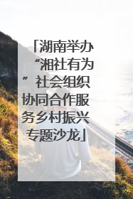 湖南举办“湘社有为”社会组织协同合作服务乡村振兴专题沙龙