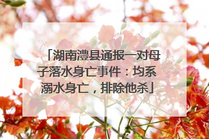 湖南澧县通报一对母子落水身亡事件：均系溺水身亡，排除他杀