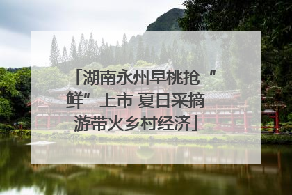 湖南永州早桃抢“鲜”上市 夏日采摘游带火乡村经济