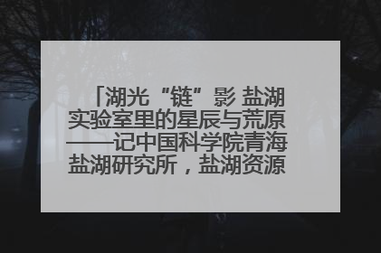 湖光“链”影 盐湖实验室里的星辰与荒原——记中国科学院青海盐湖研究所，盐湖资源化学实验室党总支书记、副主任刘忠