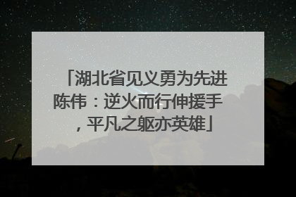 湖北省见义勇为先进陈伟：逆火而行伸援手，平凡之躯亦英雄