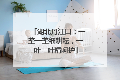 湖北丹江口：一垄一垄细耕耘，一叶一叶精呵护