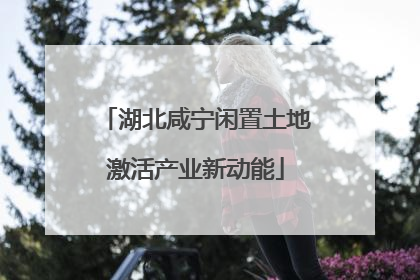 湖北咸宁闲置土地激活产业新动能