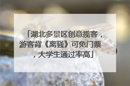 湖北多景区创意揽客，游客背《离骚》可免门票，大学生通过率高