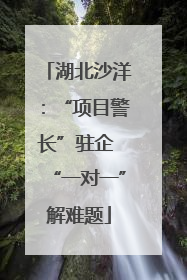 湖北沙洋：“项目警长”驻企 “一对一”解难题