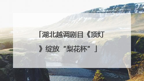 湖北越调剧目《顶灯》绽放“梨花杯”