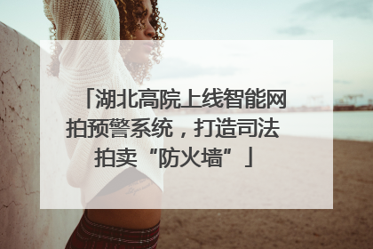 湖北高院上线智能网拍预警系统，打造司法拍卖“防火墙”