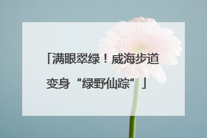 满眼翠绿！威海步道变身“绿野仙踪”
