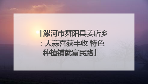 漯河市舞阳县姜店乡：大蒜喜获丰收 特色种植铺就富民路