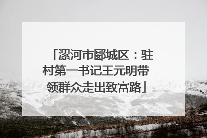 漯河市郾城区：驻村第一书记王元明带领群众走出致富路