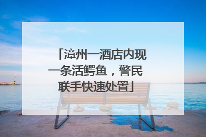 漳州一酒店内现一条活鳄鱼，警民联手快速处置
