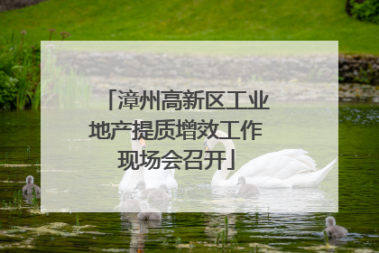 漳州高新区工业地产提质增效工作现场会召开