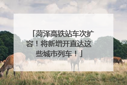 菏泽高铁站车次扩容！将新增开直达这些城市列车！