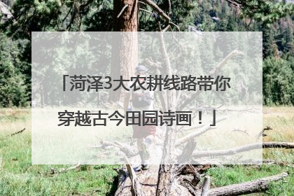 菏泽3大农耕线路带你穿越古今田园诗画！