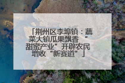荆州区李埠镇：蔬菜大镇瓜果飘香 “甜蜜产业”开辟农民增收“新赛道”