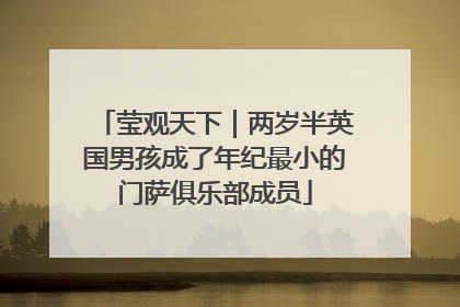 莹观天下｜两岁半英国男孩成了年纪最小的门萨俱乐部成员