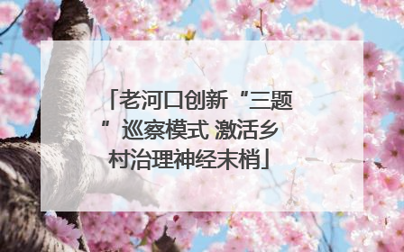 老河口创新“三题”巡察模式 激活乡村治理神经末梢
