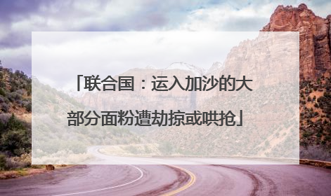 联合国：运入加沙的大部分面粉遭劫掠或哄抢