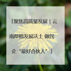 聚焦高质量发展｜云南厚植发展沃土 做民企“最好合伙人”