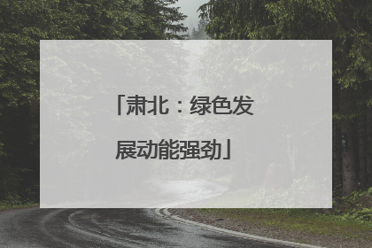 肃北：绿色发展动能强劲