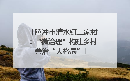 腾冲市清水镇三家村：“微治理”构建乡村善治“大格局”