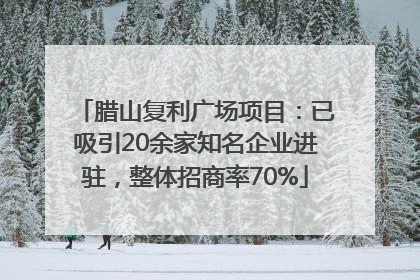 腊山复利广场项目：已吸引20余家知名企业进驻，整体招商率70%