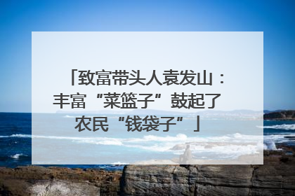 致富带头人袁发山：丰富“菜篮子”鼓起了农民“钱袋子”