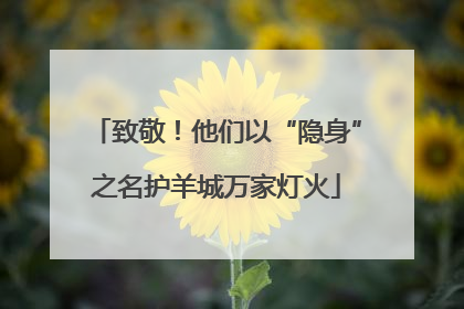 致敬！他们以“隐身”之名护羊城万家灯火