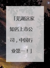 芜湖这家知名上市公司，中国行业第一！