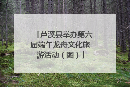 芦溪县举办第六届端午龙舟文化旅游活动（图）