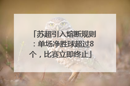 苏超引入熔断规则：单场净胜球超过8个，比赛立即终止