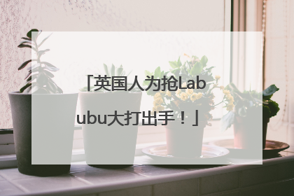 英国人为抢Labubu大打出手！