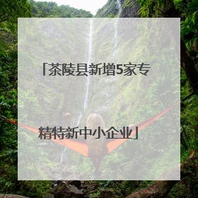 茶陵县新增5家专精特新中小企业