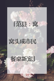 范县：窝窝头成市民餐桌新宠