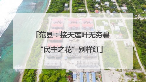 范县：接天莲叶无穷碧 “民主之花”别样红