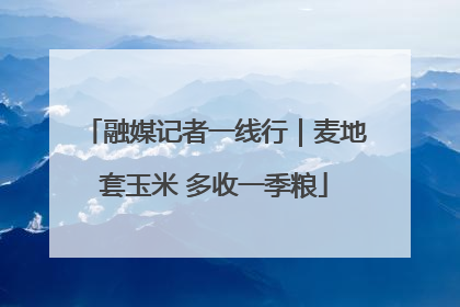 融媒记者一线行｜麦地套玉米 多收一季粮