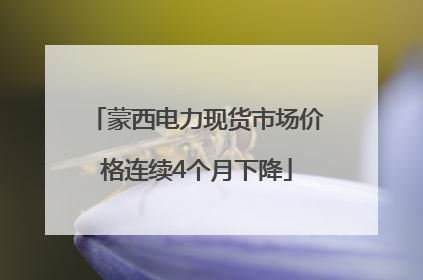 蒙西电力现货市场价格连续4个月下降