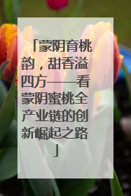 蒙阴育桃韵，甜香溢四方——看蒙阴蜜桃全产业链的创新崛起之路