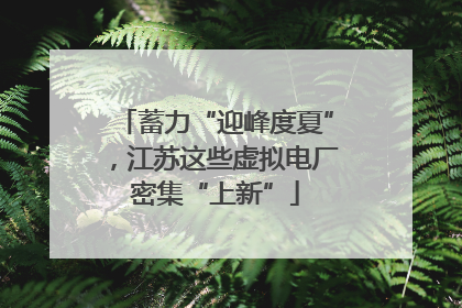 蓄力“迎峰度夏”，江苏这些虚拟电厂密集“上新”