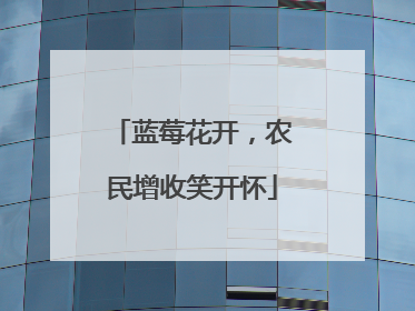 蓝莓花开，农民增收笑开怀